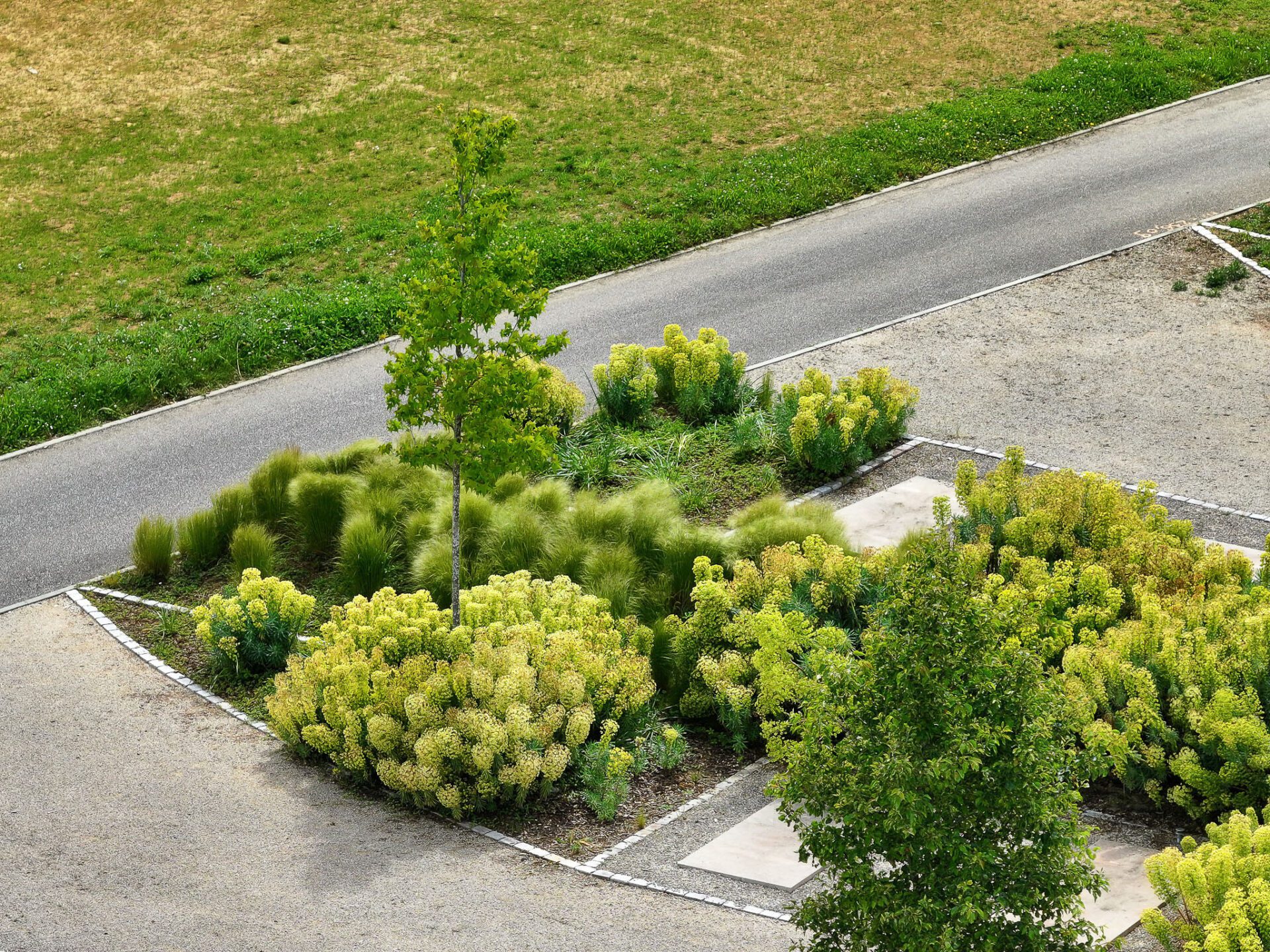 Vue générale des aménagements paysagers du cimetière de Mirande à Dijon