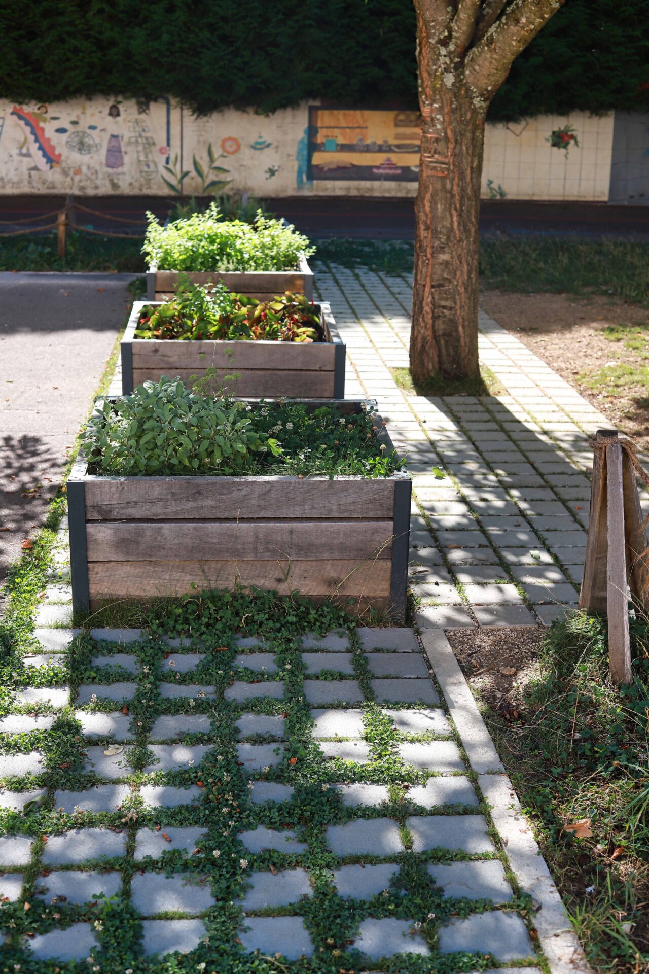 Potager et sol desimperméabilisé