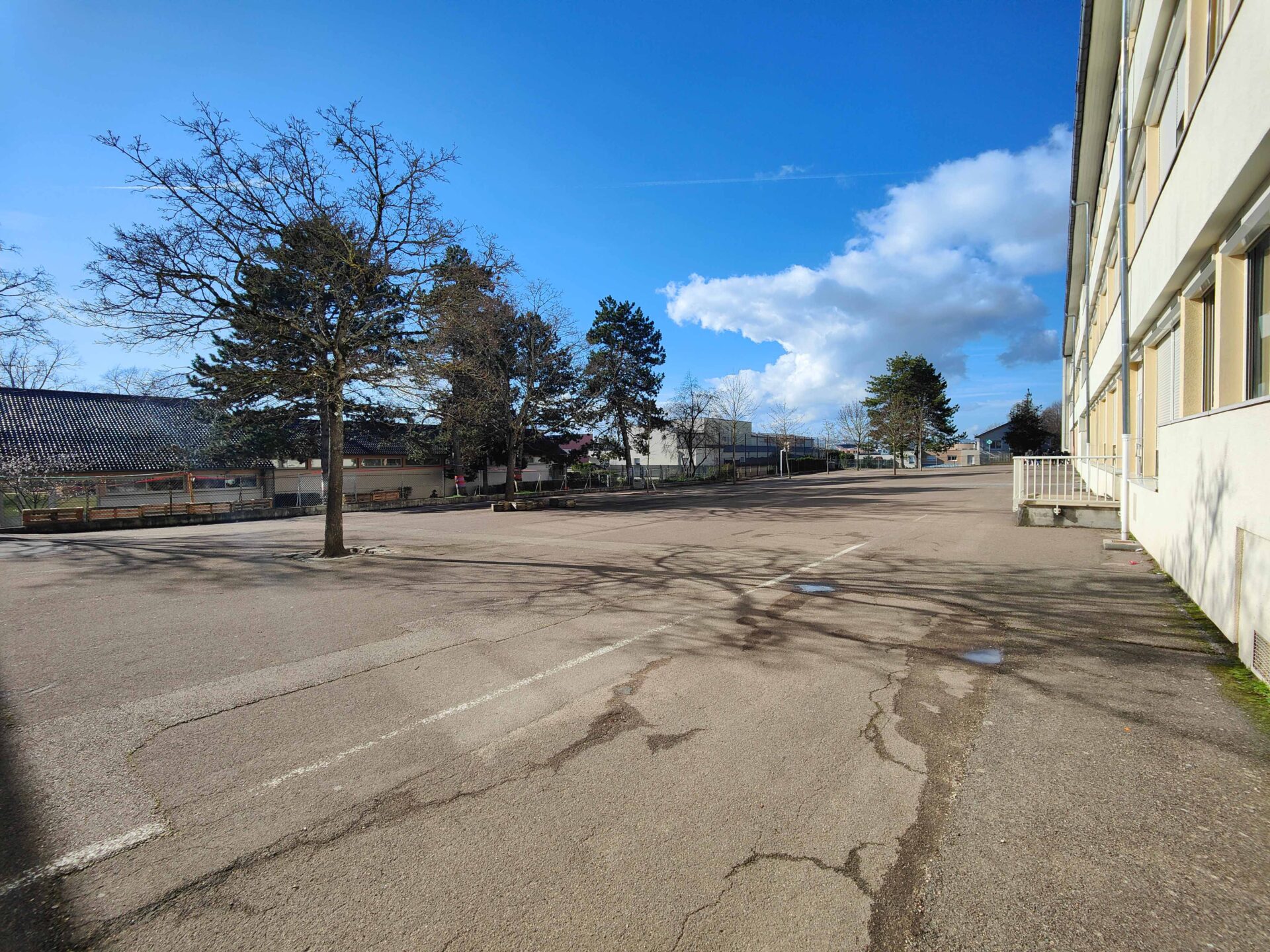 Photo de la court existante avant les travaux de renaturation