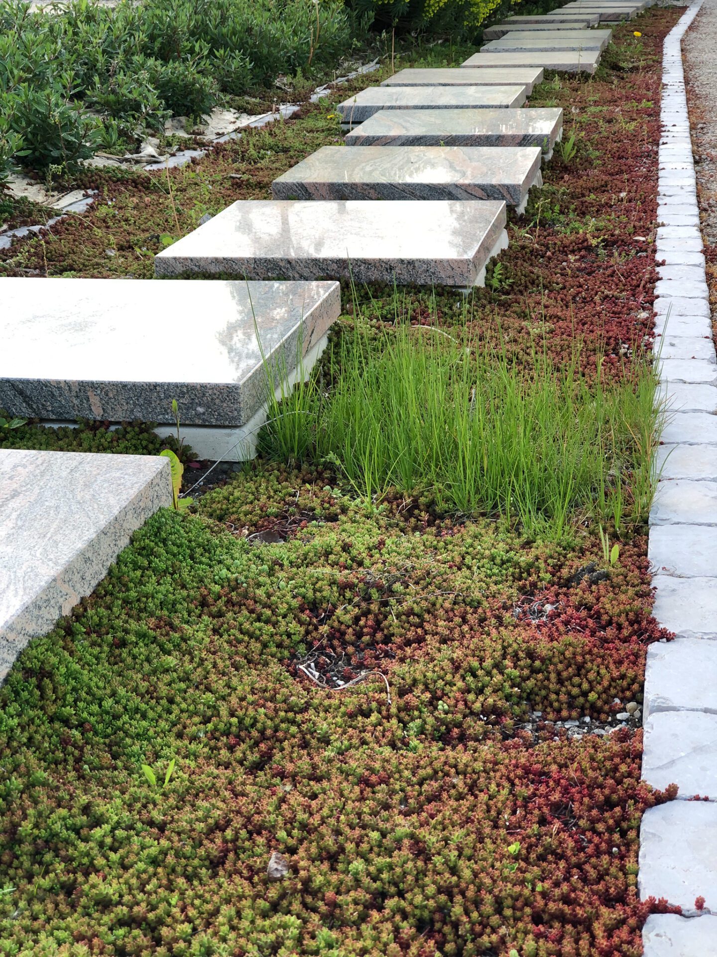Espace de recueillement végétalisé au cimetière de Mirande